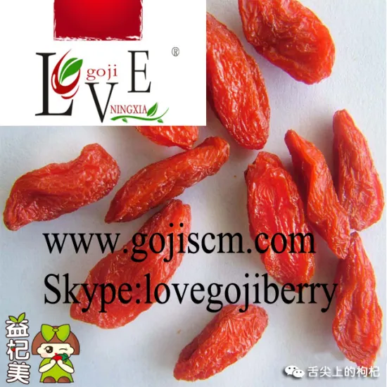 Low Pesticide Goji Berry--180size