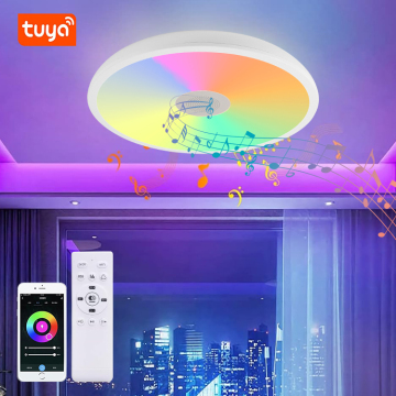 Indoor Round Dimmable RGB WiFi LED Ceiling Light with Bluetooth Speaker
