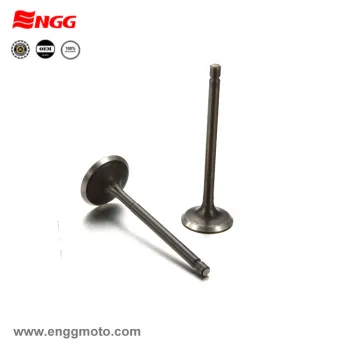 TVS King Engine Valve Replacement and Maintenance Guide