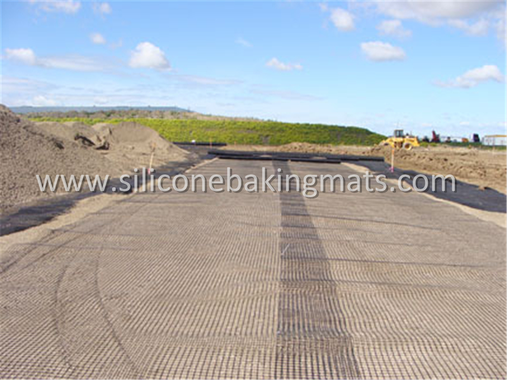 Soil Reinforcement Geogrid