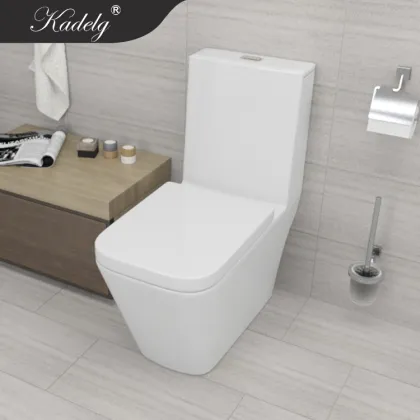 European Style Furniture Washdown Toilet