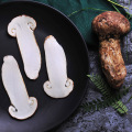 Melhor seco Tricholoma Matsutake