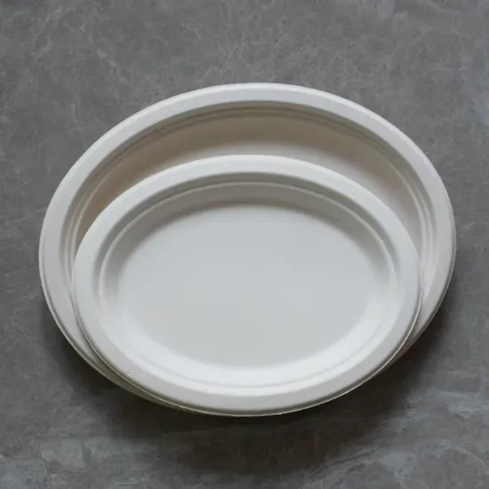 Eco-Friendly Sugarcane Bagasse Oval Plate