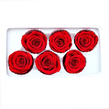 New Production Eternal Forever Long Lasting Flower Preserved Roses Flores Preservadas