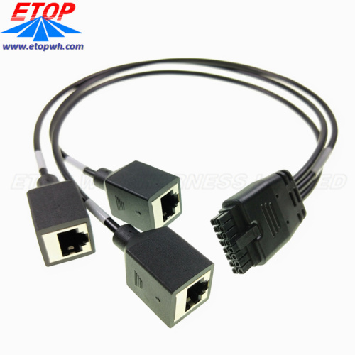 Overmolded Power Micro-fit Connectors to 4in RJ45 Jack