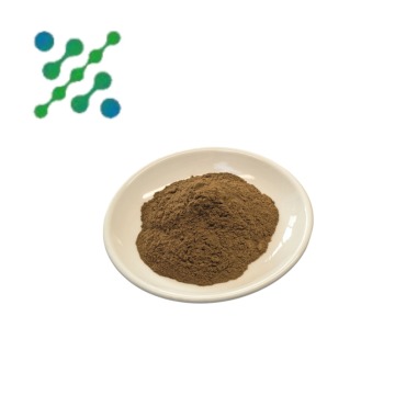 كبسولات مسحوق مستخلص فطر الريشي العضوي