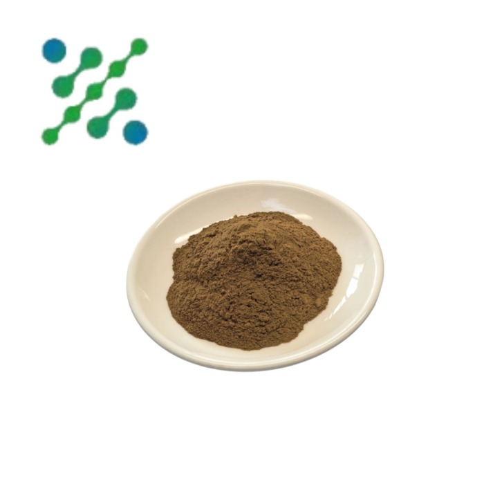 Bulk reishi extract supplier