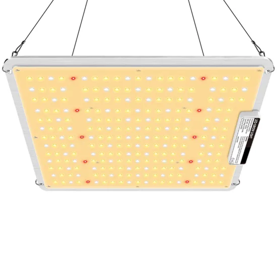 100W Growing Lamp 250 LEDs
