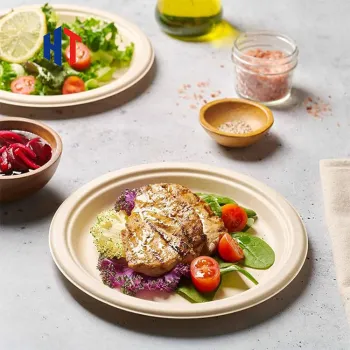 Custom 12 Inch Disposable Compartment Plates for Birthday Cakes - Cheap and Stylish