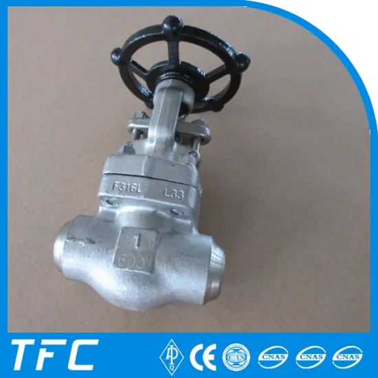 renewable seat full bore gate valve