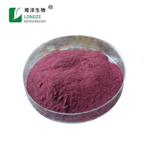 Blueberry Extract 25% Anthocyanins For Supplement