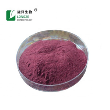 Blueberry Extract Powder 10:1 20:1 30:1 For Gummies
