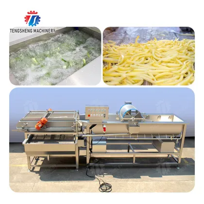 Vegetable Bubble Washing Machine Continuous Type