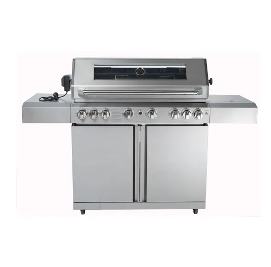 Stainless Steel Gas Grill with 6 Main Burners