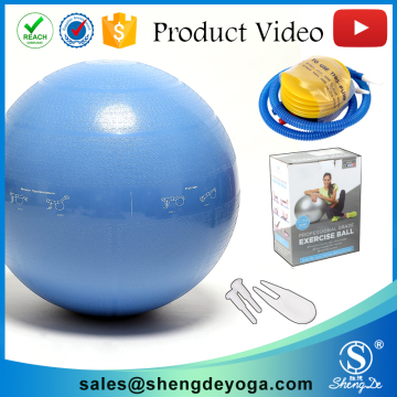 2016 physical balance 65cm gym blue exercise ball with custom logo