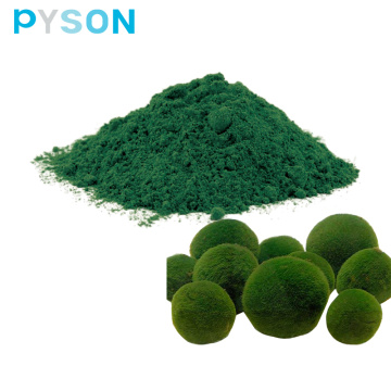 poudre de chlorella de haute qualité 100% naturelle