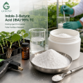 Indole-3-Butyric Acid IBA 98% TC لتركيبات تنظيم التجذير ونمو النبات