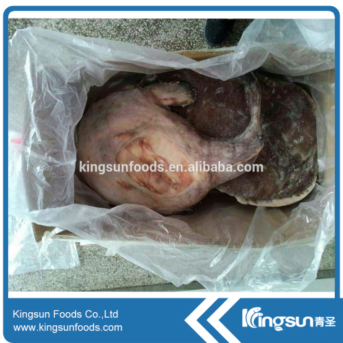 Good quality Frozen Monkfish Whole round Gutted (Lophius Litulon)