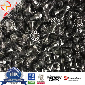 Titanium GR1 Flange Bolt