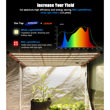 LED de LED de espectro completo hidropônico interno 800W