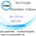 Shenzhen Port Sea Freight Shipping Para Tabaco