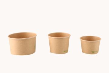 Large Paper Bowl at the Best Price