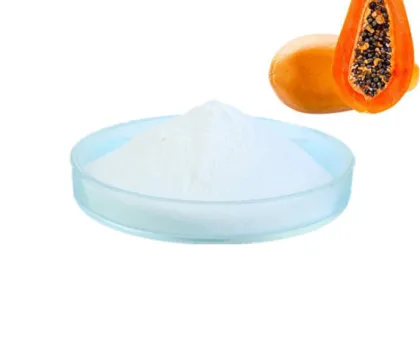 Natural Papain Enzyme Powder Enzyme Papain Papain Latex
