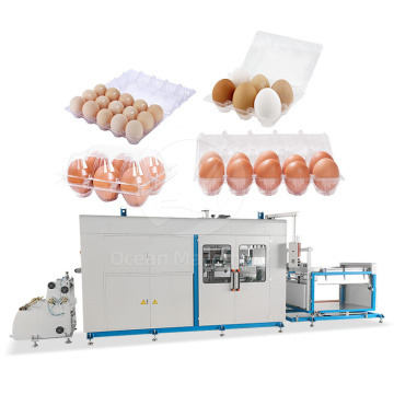 OCEAN PVC PET Lid Form and Thermoform Machine for Food Containers