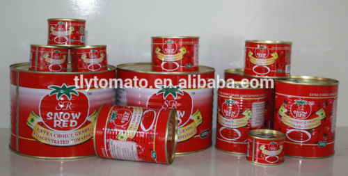 cannery health food factory tomato paste 850g*12tins/carton
