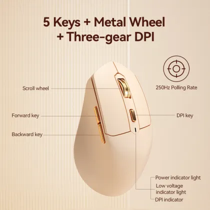 New Arrival: Cute Dual-Mode Rechargeable Wireless Silent Mouse for Laptop