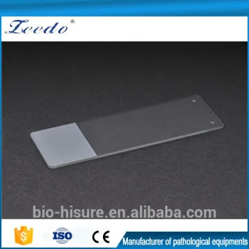 Silanized Microscope Slide