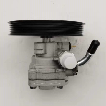 Lotus PW531884 Power Steering Pump