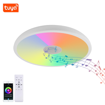 Indoor Bedroom Living Room Wireless RGB LED Ceiling Light - Tuya WiFi Smart Bluetooth Music Ceiling Lamp IP44 Ultra Thin