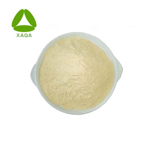 Sanguinarine 60% Veterinary Medicine Nicarbazine Powder CAS 330-95-0 Factory