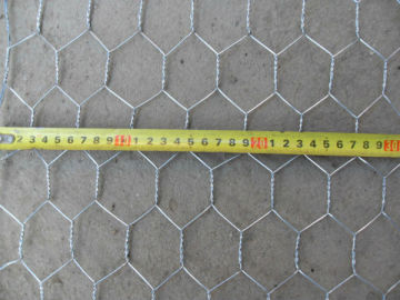 lowest price!!! 2'' hexagonal chicken wire mesh netting