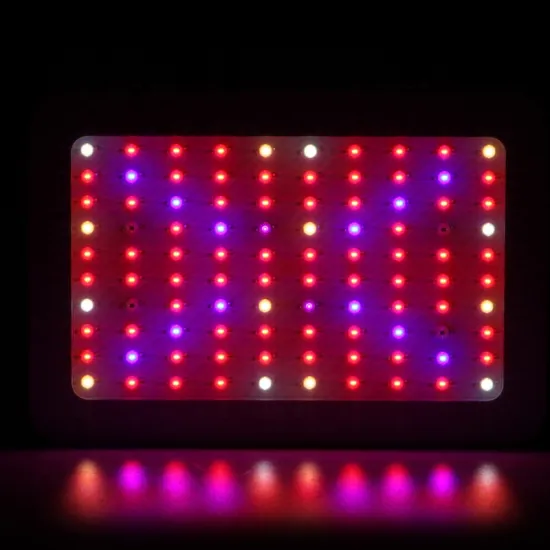 WENYI 1000W Double Chips LED Plant Grow Light