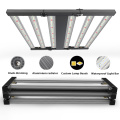 Spectre complet à haute puissance 600W LED Grow Light