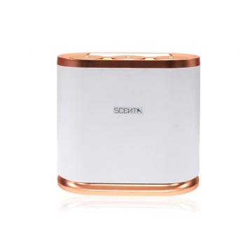 Bluetooth Control Home Air Frragener Fragrance Oil Diffuser