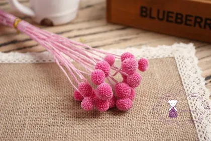 Real natural preserved golden ball flower