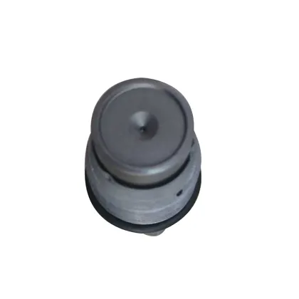 Dong Feng Valve Parts: High-Quality Rail Pressure Limiting Valve 1110010028