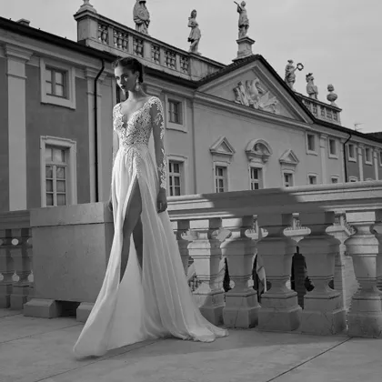 Lace Mermaid Gown Bridal Wedding Dress (Dream-100103)