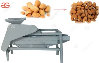 Hazelnut Dehulling Machine|Hazelnut Dehuller Machine