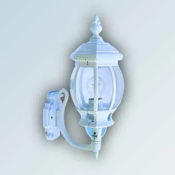 Double Patch Para-hanging