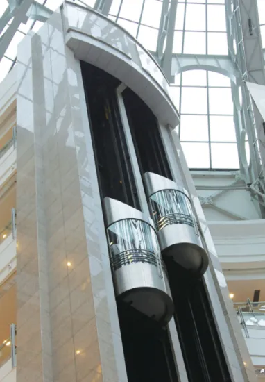 Full View Scenic Passenger Elevator
