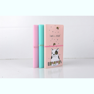display book with elastic colsure