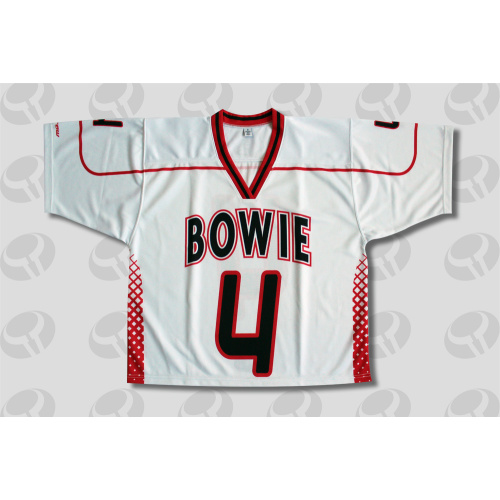 Custom high quality sublimation Team Hockey jersey