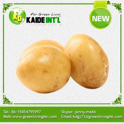 Best Farm Fresh Potatoes Factory