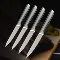 4pcs Steak knife set with hollow handle