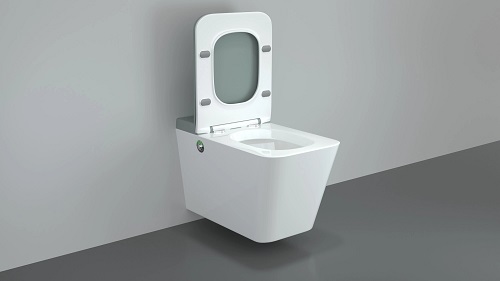 Economic Modern Bathroom Rimless Ceramic Tankless Toilet