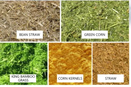 Chaff Cutter and Hammer Mill: Efficient Agricultural Equipment